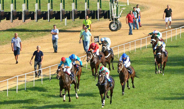 Браничево чека шампионе